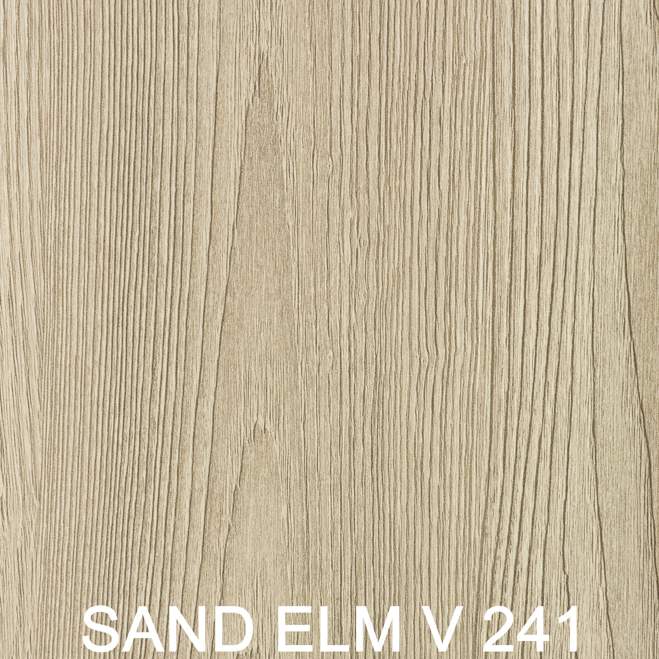 Sand elm